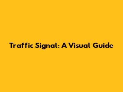 Traffic Signal: A Visual Guide