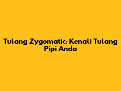 Tulang Zygomatic: Kenali Tulang Pipi Anda