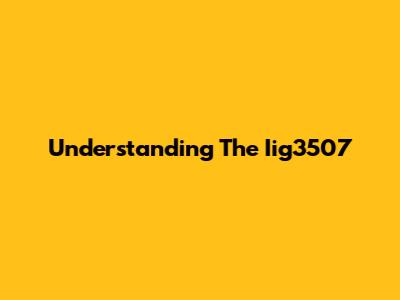 Understanding The Iig3507