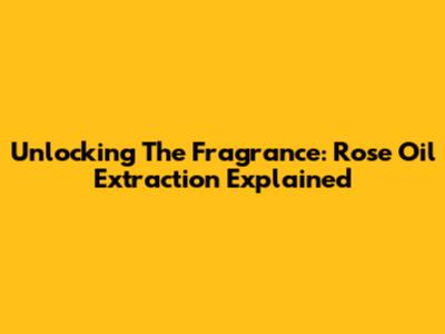 Unlocking The Fragrance: Rose Oil Extraction Explained