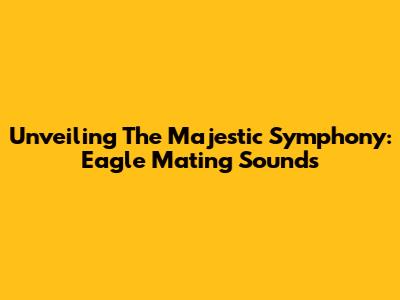 Unveiling The Majestic Symphony: Eagle Mating Sounds