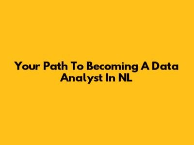 Your Path To Becoming A Data Analyst In NL